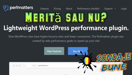 Perfmatters WordPress România