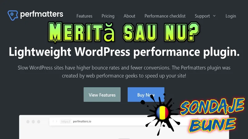 Perfmatters WordPress România