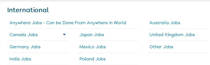 căutare joburi online cu FlexJobs