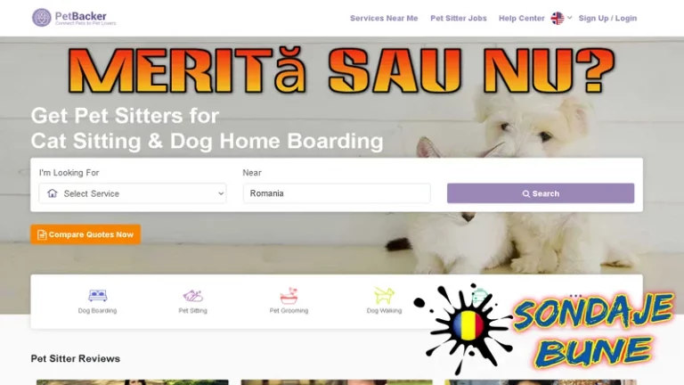 bani din servicii îngrijire animale de companie prin PetBacker