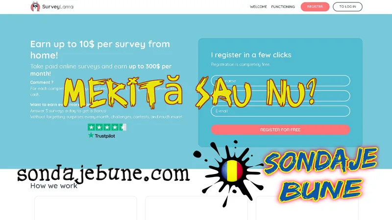 bani online din sondaje plătite prin site-ul SurveyLama în România