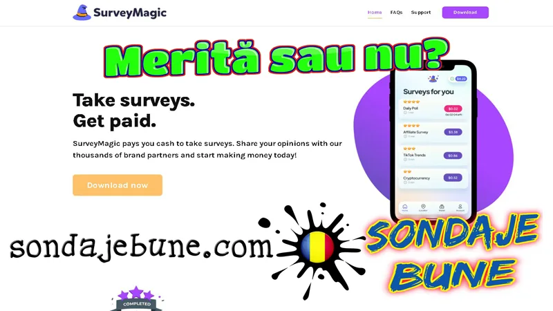 bani online completând sondaje în România cu SurveyMagic