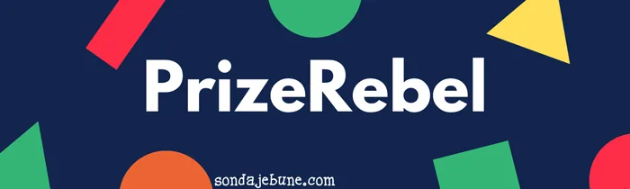 Cele mai bune site-uri de sondaje plătite cu PrizeRebel în România