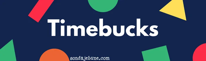 Cele mai bune site-uri de sondaje plătite și bani din sondaje de opinie folosind Timebucks