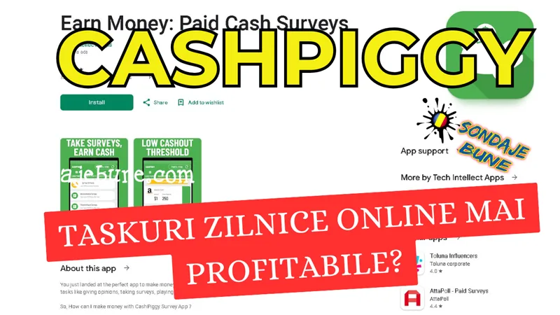 Realitatea tristă despre taskuri zilnice online oferite de CashPiggy