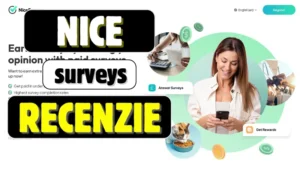 NiceSurveys Recenzie România și dacă merită să pierzi timpul participând la sondaje