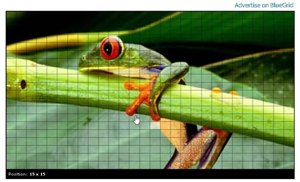 ce este bluegrid