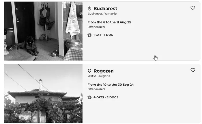 joburi de house sitting oferite de Nomador