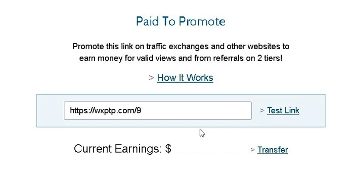 în ce constă opțiunea „Paid to Promote” oferită de WorldLinx