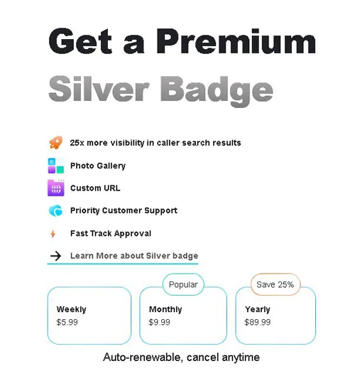 Rent a Cyber Friend Recenzie: Câștigă bani reali prin chat online abonament premium oferit de Rent a Cyber Friend